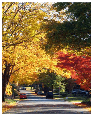 dilworthStreet